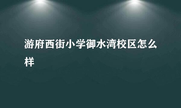 游府西街小学御水湾校区怎么样