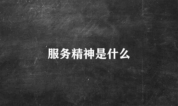 服务精神是什么