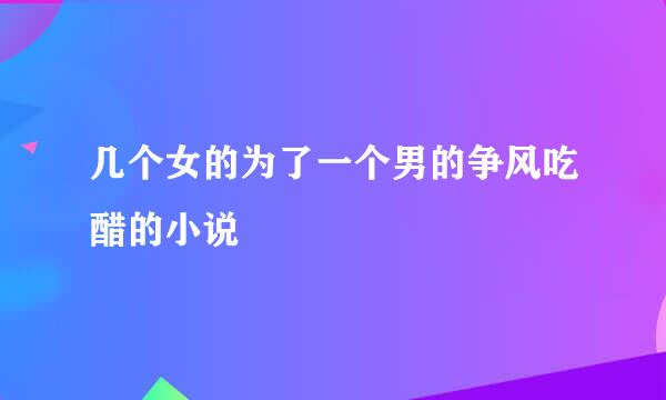 几个女的为了一个男的争风吃醋的小说