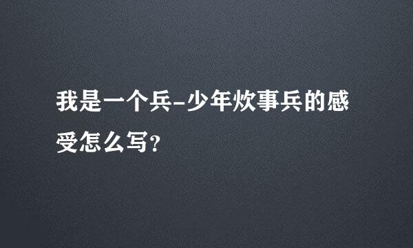 我是一个兵-少年炊事兵的感受怎么写？