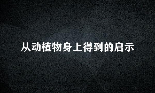 从动植物身上得到的启示