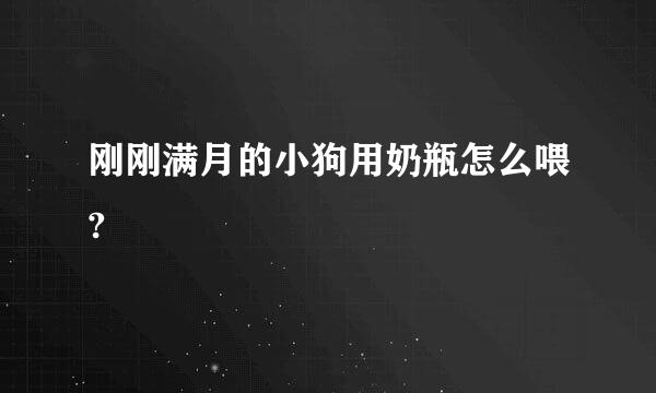 刚刚满月的小狗用奶瓶怎么喂?