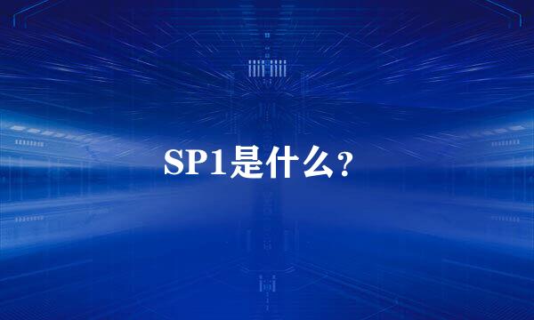 SP1是什么？