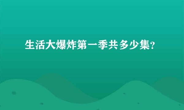 生活大爆炸第一季共多少集？