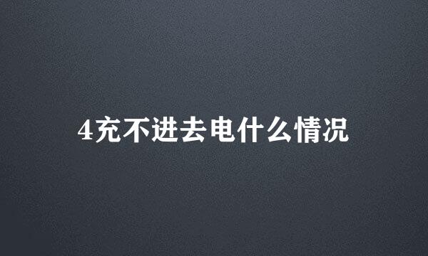 4充不进去电什么情况