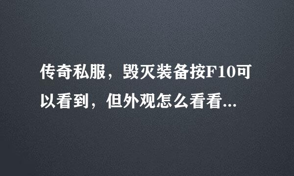 传奇私服，毁灭装备按F10可以看到，但外观怎么看看不到，谁知道要下什么补丁