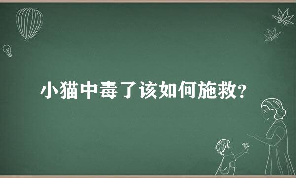 小猫中毒了该如何施救？