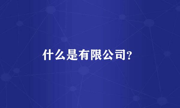 什么是有限公司？