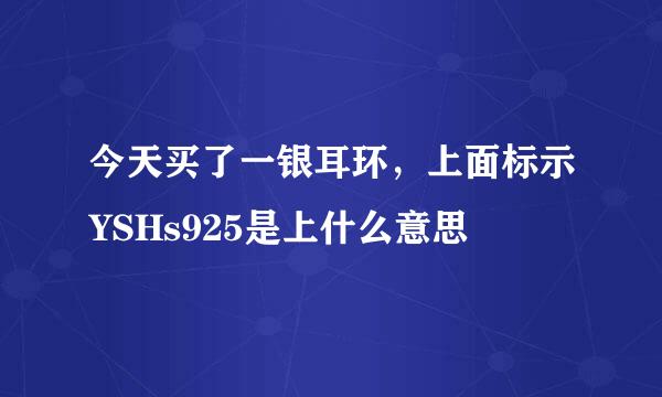 今天买了一银耳环，上面标示YSHs925是上什么意思