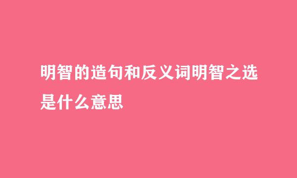 明智的造句和反义词明智之选是什么意思