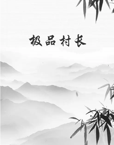 《极品村长》txt下载在线阅读全文，求百度网盘云资源