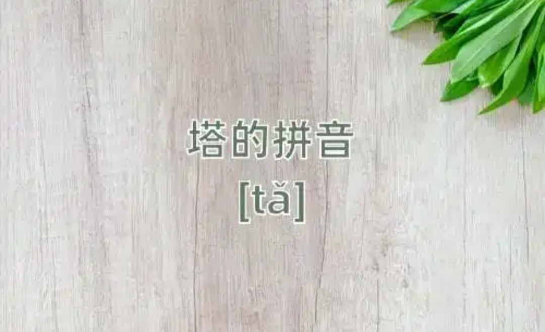 塔的拼音和词语