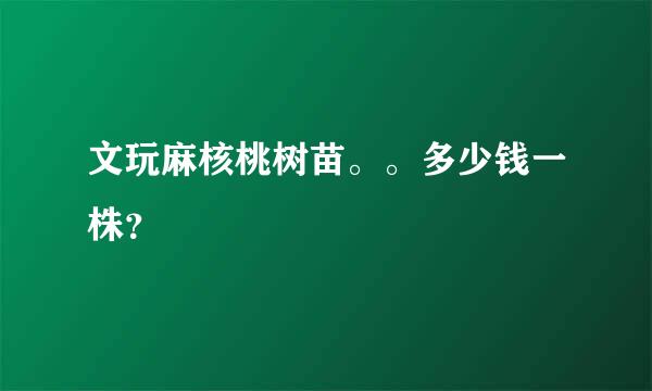 文玩麻核桃树苗。。多少钱一株？