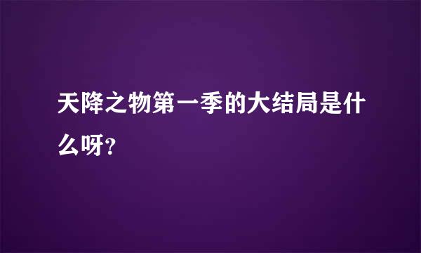 天降之物第一季的大结局是什么呀？