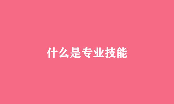 什么是专业技能