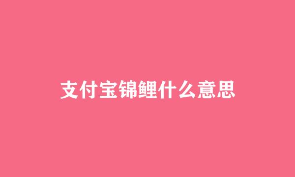 支付宝锦鲤什么意思