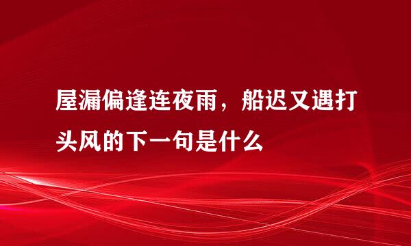 屋漏偏逢连夜雨，船迟又遇打头风的下一句是什么