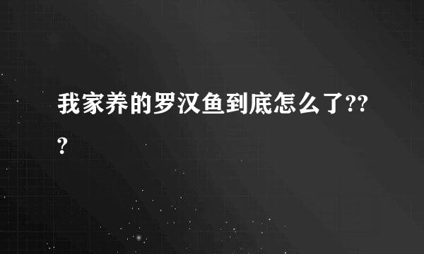 我家养的罗汉鱼到底怎么了???