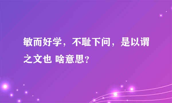 敏而好学，不耻下问，是以谓之文也 啥意思？