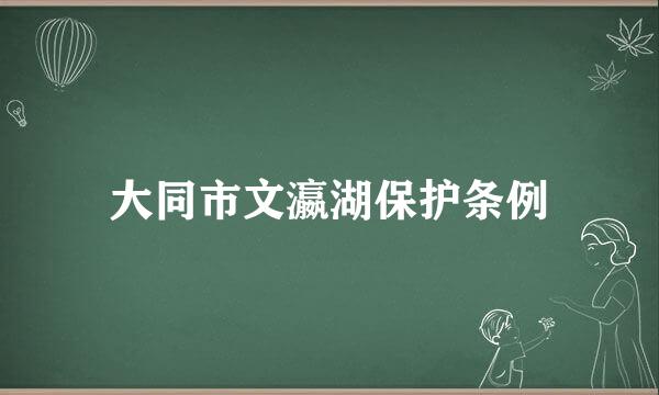 大同市文瀛湖保护条例