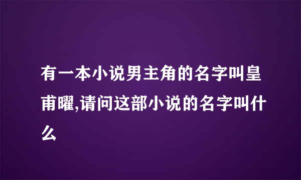 有一本小说男主角的名字叫皇甫曜,请问这部小说的名字叫什么