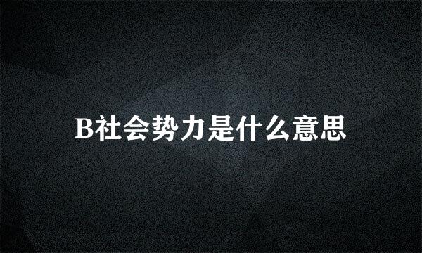 B社会势力是什么意思