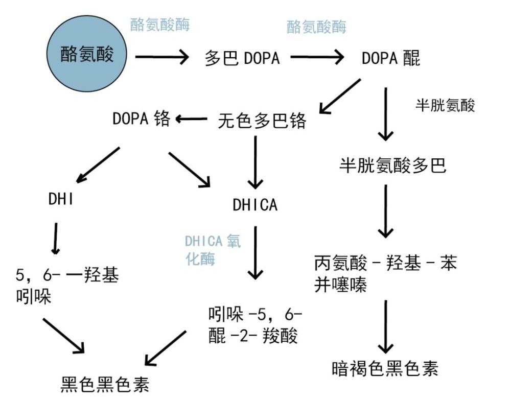 颧骨长斑怎么办