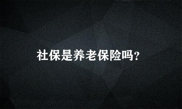 社保是养老保险吗？