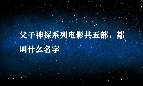 父子神探系列电影共五部，都叫什么名字