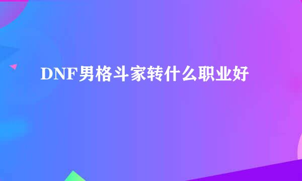 DNF男格斗家转什么职业好