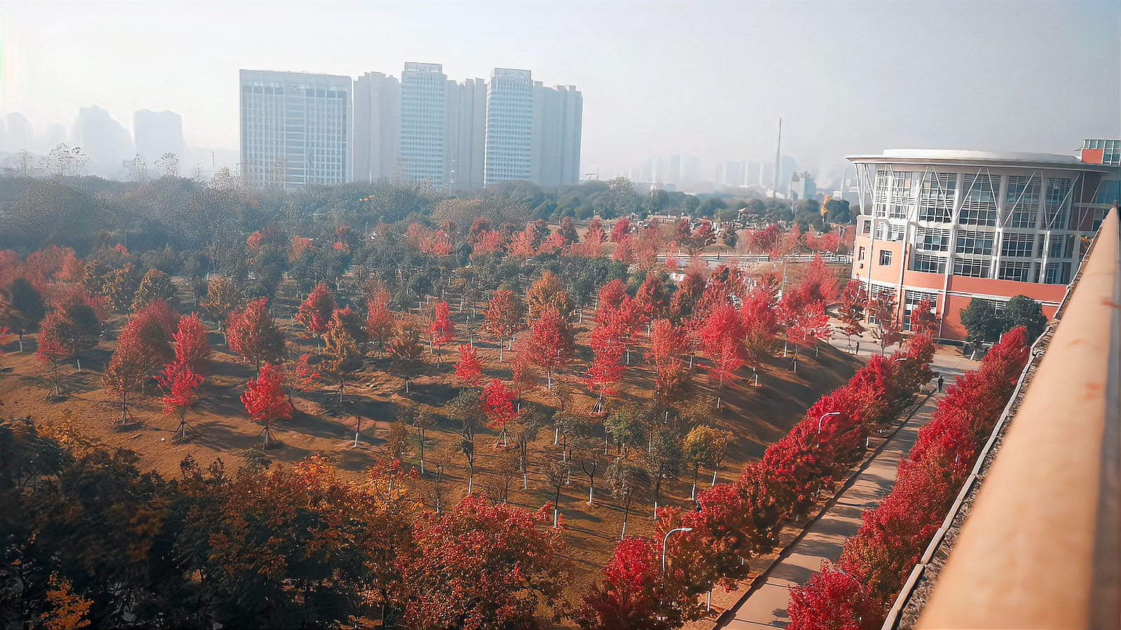 文华学院怎么样