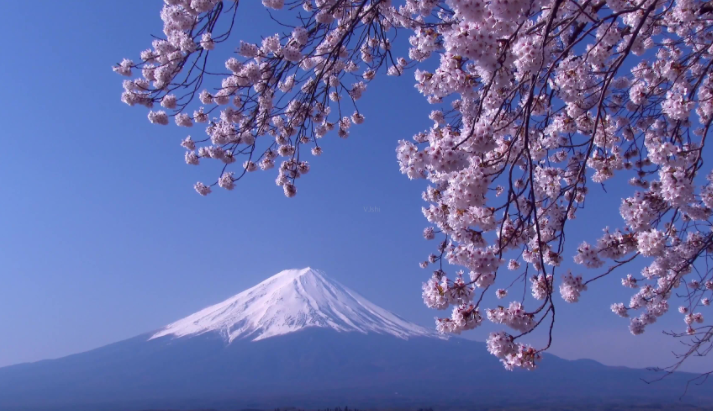 歌曲富士山下是什么意思？