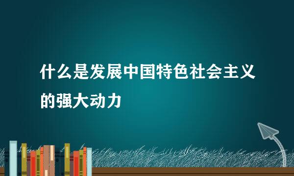 什么是发展中国特色社会主义的强大动力