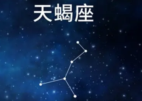 11.1是什么星座