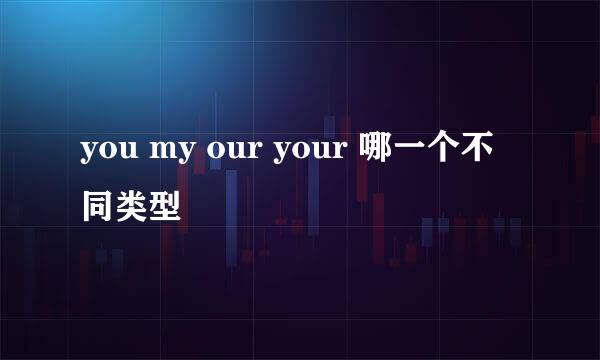 you my our your 哪一个不同类型