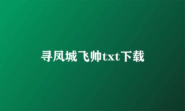 寻凤城飞帅txt下载