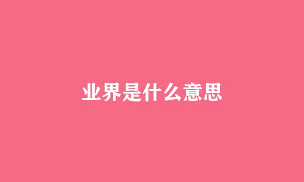 业界是什么意思