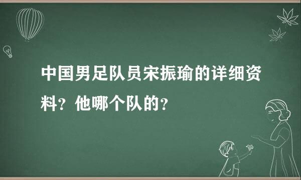 中国男足队员宋振瑜的详细资料？他哪个队的？