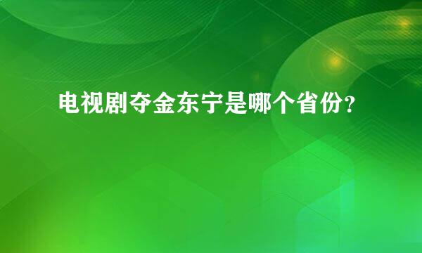 电视剧夺金东宁是哪个省份？