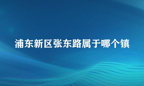 浦东新区张东路属于哪个镇