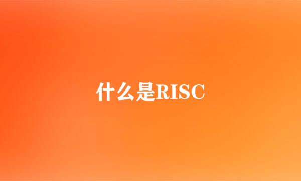 什么是RISC