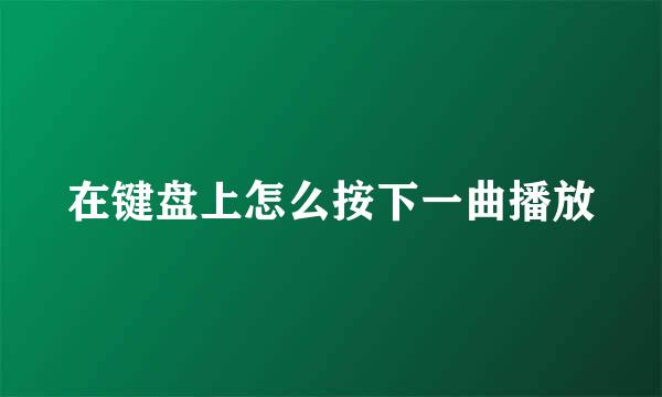 在键盘上怎么按下一曲播放