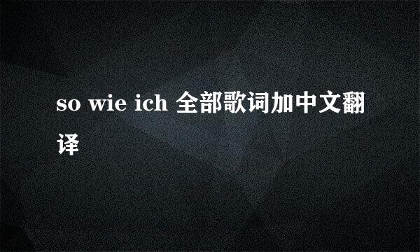 so wie ich 全部歌词加中文翻译