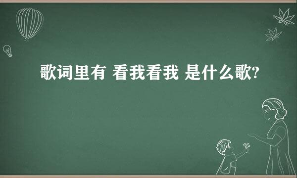 歌词里有 看我看我 是什么歌?