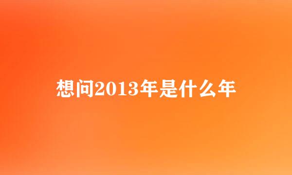 想问2013年是什么年