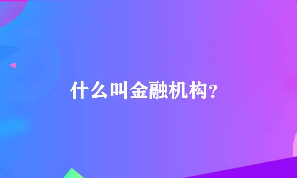 什么叫金融机构？