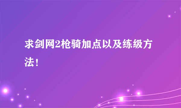 求剑网2枪骑加点以及练级方法！