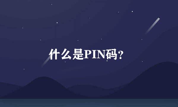 什么是PIN码？