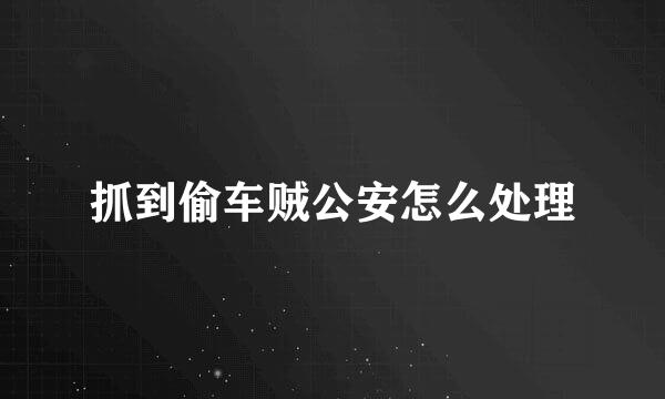 抓到偷车贼公安怎么处理