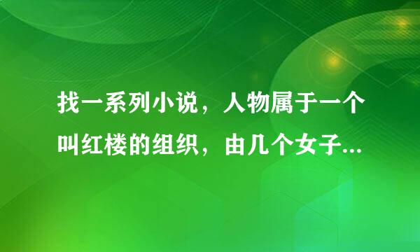 找一系列小说，人物属于一个叫红楼的组织，由几个女子组成，有一个叫无音，一个叫风棠，其他人不记得了